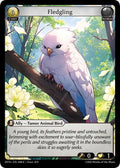 HVN-048 Fledgling