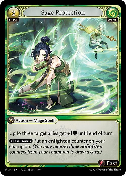 HVN-172 Sage Protection