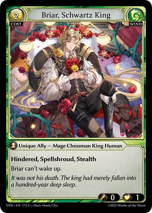 DTR-172 Briar, Schwartz King