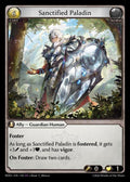 Sanctified Paladin